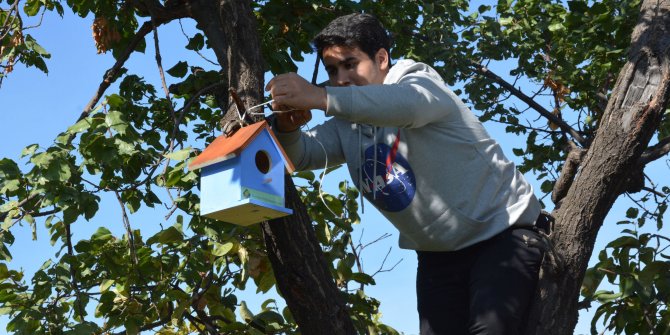 Keçiörenli öğrenciler kuş yuvası yaparak parklara yerleştirdiler