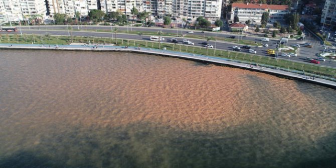 İzmir Körfezi, kahverengiye döndü