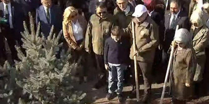 Cumhurbaşkanı Erdoğan da fidan dikti