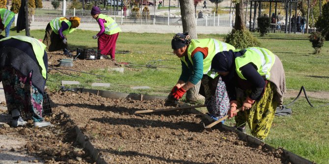 Gölbaşı’na 85 bin lale dikimi yapıldı