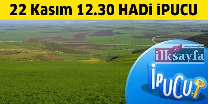 22 Kasım 12.30 HADİ ipucu: Çevresine göre çukurda kalmış, çoğunlukla alüvyonla örtülü verimli düzlüklere ne denir?