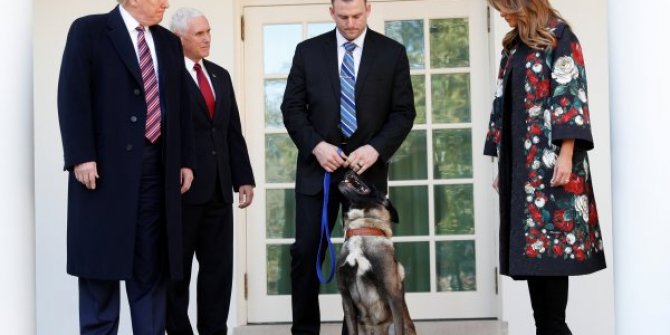 Trump'tan köpeğe madalya