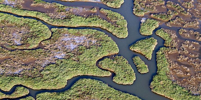 Gediz Deltası, UNESCO yolunda