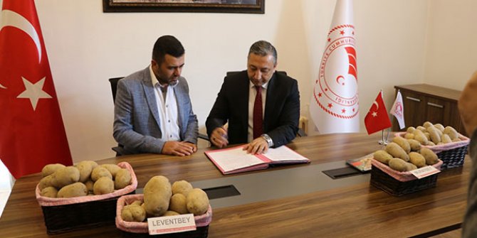 Milli patatesler, özel sektöre devredildi