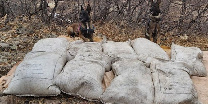 Bingöl'de PKK'ya ait 450 kilo 'amonyum nitrat' ele geçirildi