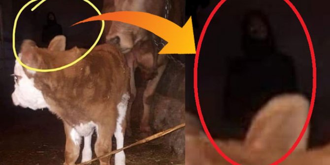 Fotoğrafa yansıyan siluet, tartışma konusu oldu