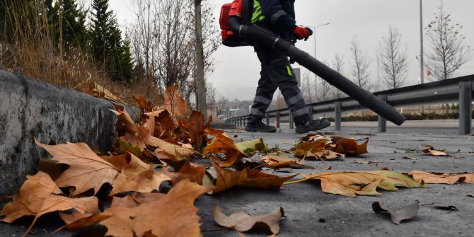 Başkent'te yaprak temizliği