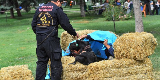 Büyükşehir'in K-9 köpekleri girdikleri sınavı geçtiler