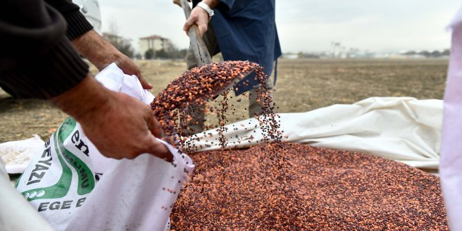 Büyükşehir'den üretime teşvik projesi