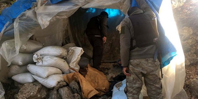 Diyarbakır Lice'de Kıran 11 başlatıldı