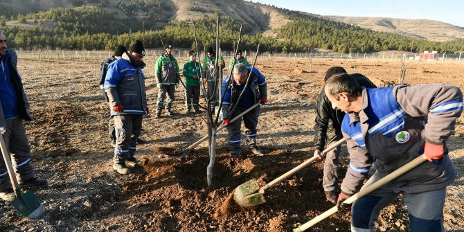 Mamak Ekoköy’de fidanlar toprakla buluştu