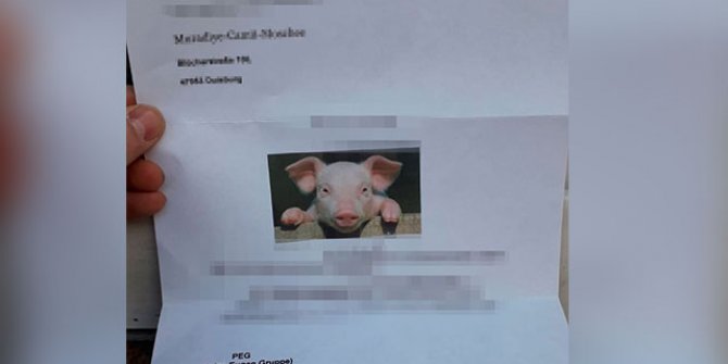 Almanya'da camiye domuz fotoğrafı bulunan mektup gönderildi