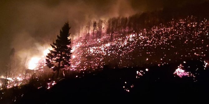 Karadeniz'de 26 noktada yangın: 5 ev yandı, tarım arazileri zarar gördü