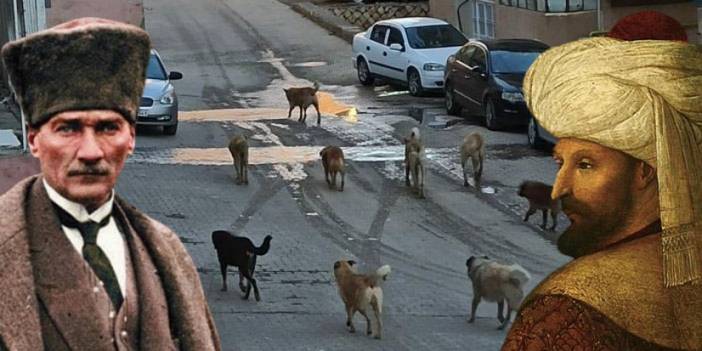 Başıboş köpek sorununa karşı Osmanlı da Atatürk de aynı yolu izlemiş