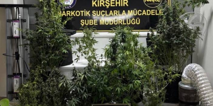 Kaman’ın köyünde Jandarma operasyonu: Esrar ele geçirildi