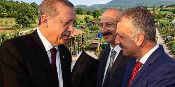 Cumhurbaşkanı Başdanışmanı’ndan hobi bahçesi açıklaması