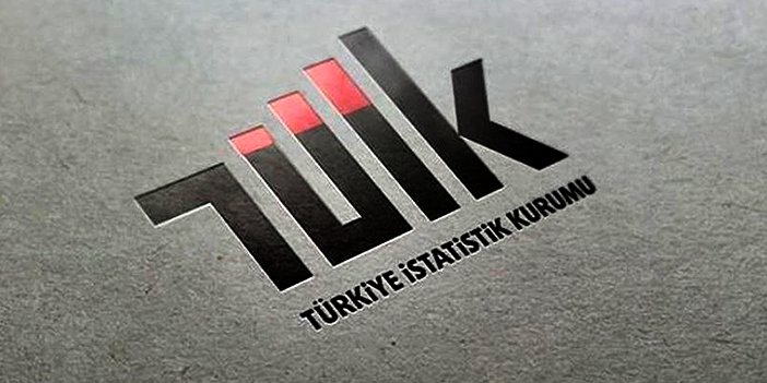 tuik-gecen-sene-dogan-girisimlerin-oranini-yayinladi-2.jpg