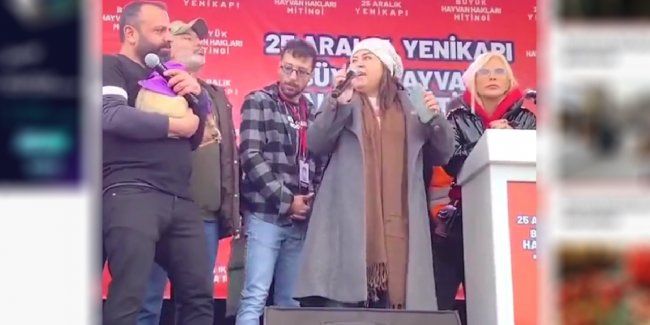 hakim-asuman-ozdemir.jpg