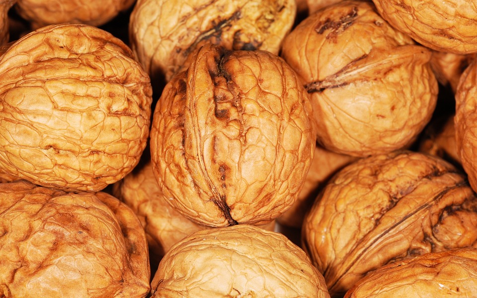 walnuts-101462-960-720.jpg
