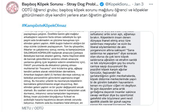 odtu-kopek-sorunu.jpg