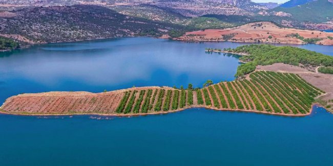 halka-arz-edilen-goknur-gida-bahceleri.jpg