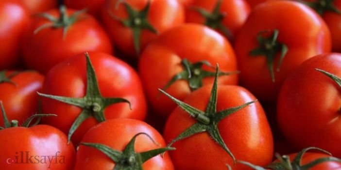 domates ihracatına kısıtlama