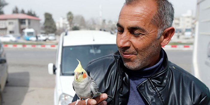 hassari figen ve papağan