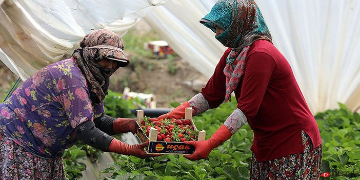 Dünya emekçi kadınlar gününde çalışan kadınlar