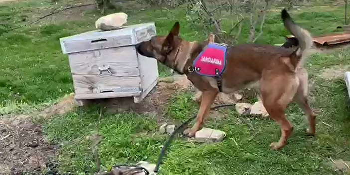 denizli jandarma uyuşturucu operasyonu