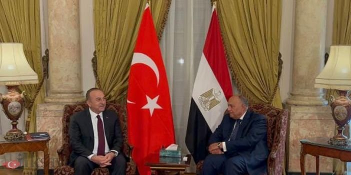 Sameh Hassan Shoukry kimdir