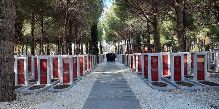 ara-004.jpg