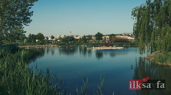 Ankarada bulunan önemli göllerden biri olan Mogan gölü ve sazlıkları 