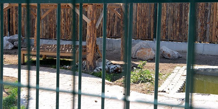 gölbaşı hayvanat bahçesi