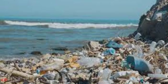 Plastikoz hastalığı nedir sorusu için görsel