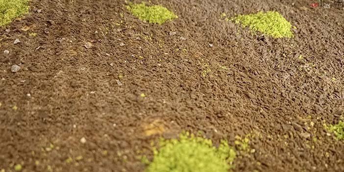 Ramazan’da tatlı ne zaman yenmelidir