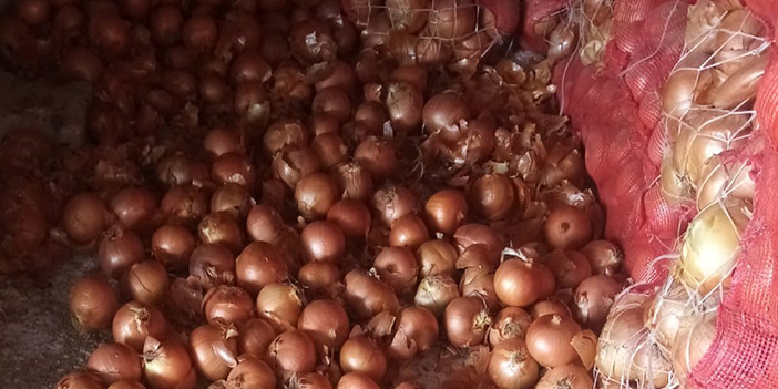 soğan fiyatları
