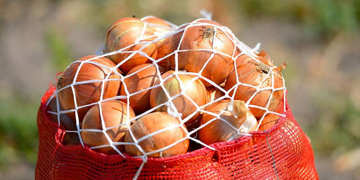 bayramdan sonra soğan fiyatı