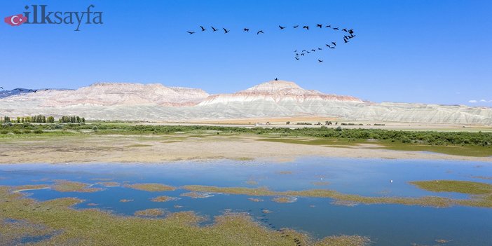 Ankara'nın en güzel tarihi yerleri ve doğal güzelliklerinden biri de Nallıhan Kuş Cenneti