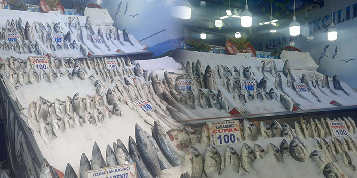 ulus hali balık fiyatları