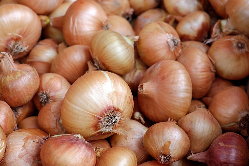 onions-1397037-960-720.jpg