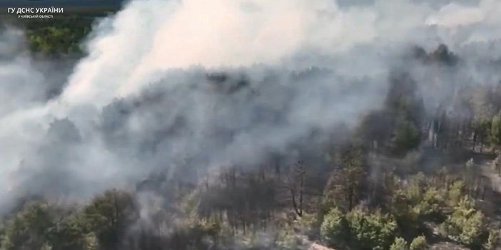 ukrayna-da-orman-yangini.jpg