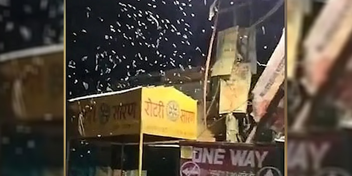 gökten solucan yağdı