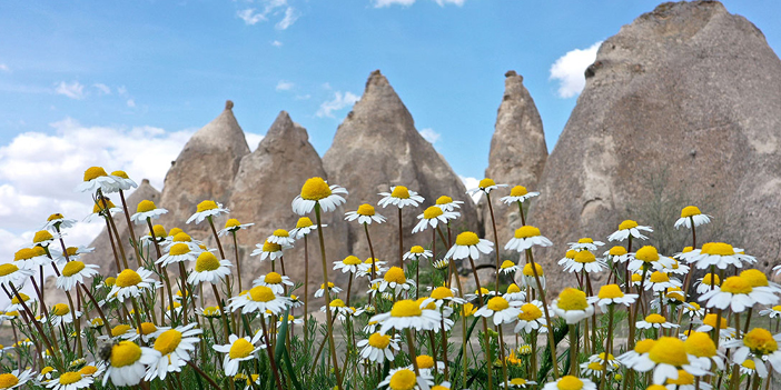 nevşehir bahar manzarası