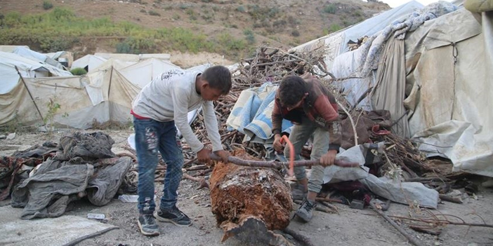 Dünya Çocuk İşçiliğiyle Mücadele Gününde çalışan çocuk işçi
