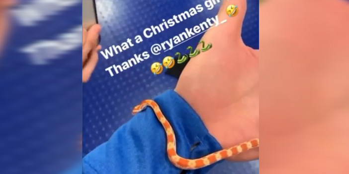 ryan kent arkadaşına yılan aldı