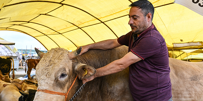 sincan Çimşit Hayvan Pazarı