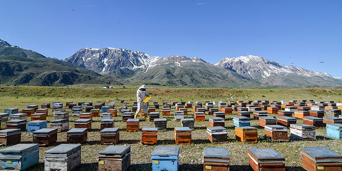 az bilinen arıcılık bölümü dersi