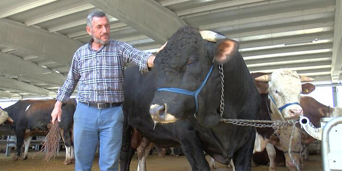 Ankara’nın en büyük ikinci kurbanlığı Şahinbey