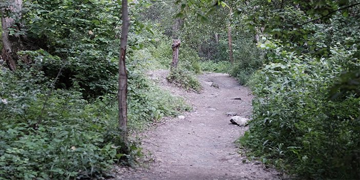 Kıbrıs Kanyonu yolu