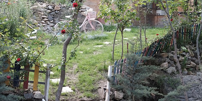 Kıbrıs kanyonu bahçesi